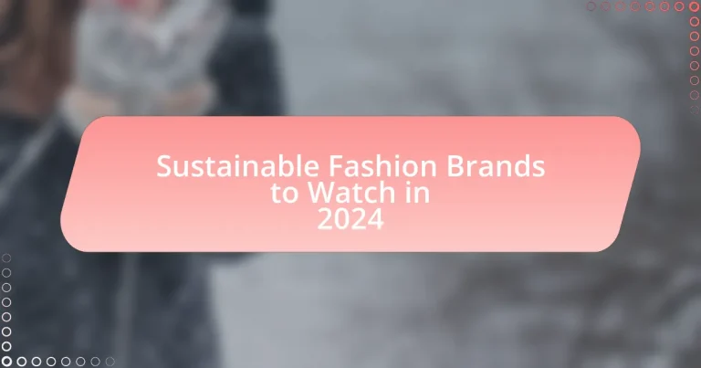 Sustainable Fashion Brands to Watch in 2024
