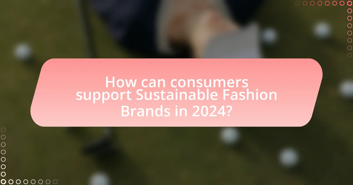 How can consumers support Sustainable Fashion Brands in 2024?