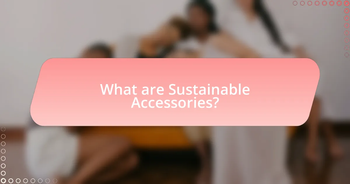 What are Sustainable Accessories?