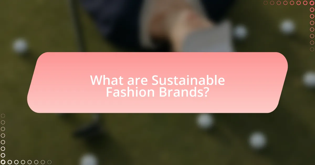 What are Sustainable Fashion Brands?