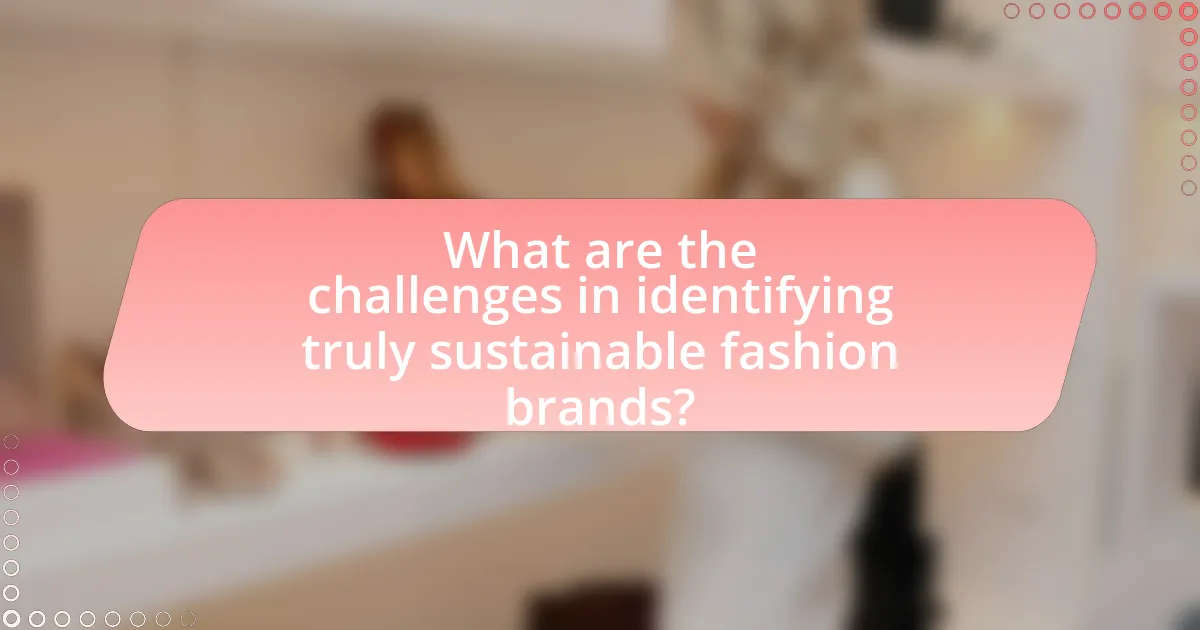 What are the challenges in identifying truly sustainable fashion brands?