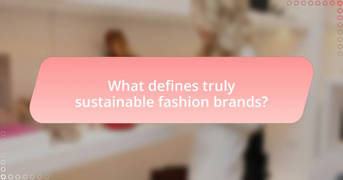 What defines truly sustainable fashion brands?