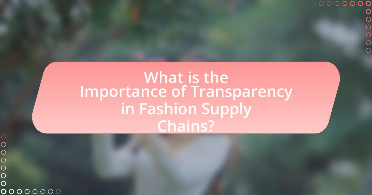 What is the Importance of Transparency in Fashion Supply Chains?