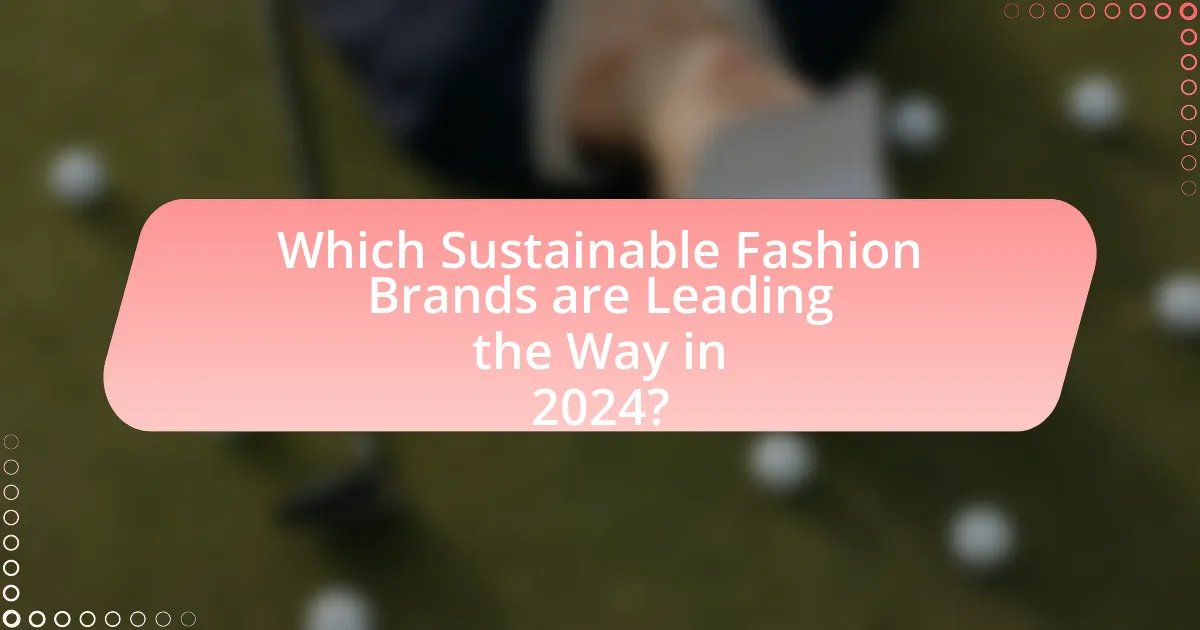 Which Sustainable Fashion Brands are Leading the Way in 2024?